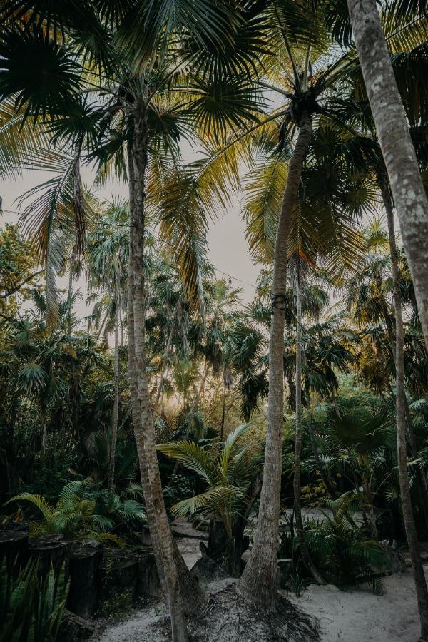 Ether Tulum Eksteriør billede